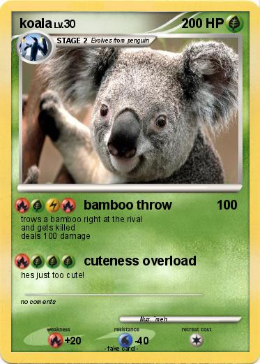 Pokemon koala