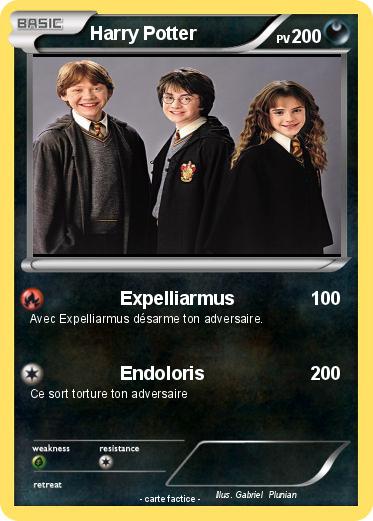Pokemon Harry Potter