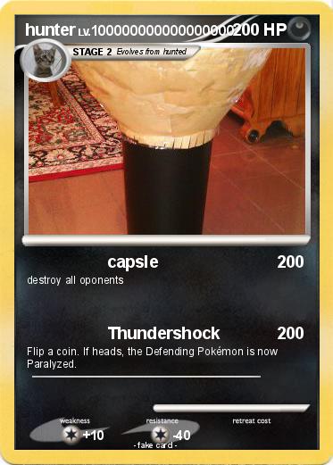 Pokemon hunter