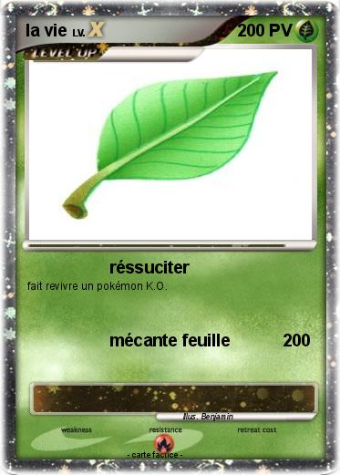 Pokemon la vie