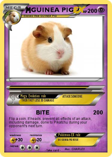 Pokemon GUINEA PIG