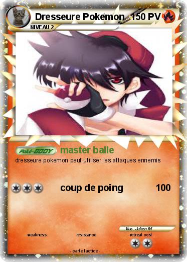 Pokemon Dresseure Pokemon