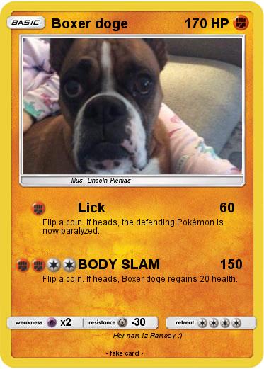 Pokemon Boxer doge