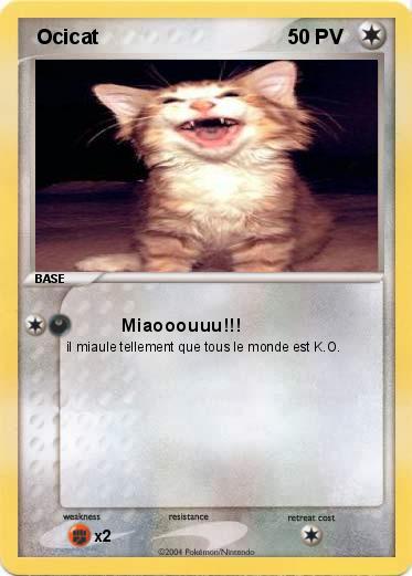 Pokemon  Ocicat