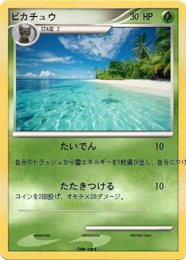Pokemon ピカチュウ