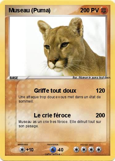 Pokemon Museau (Puma)