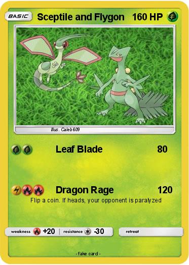 Pokemon Sceptile and Flygon