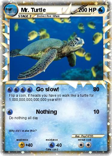 Pokemon Mr. Turtle