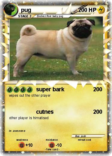 Pokemon pug