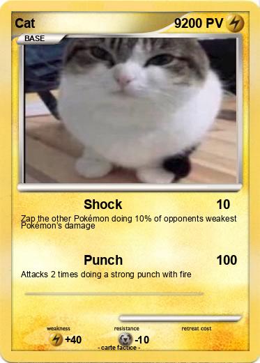 Pokemon Cat                                       9