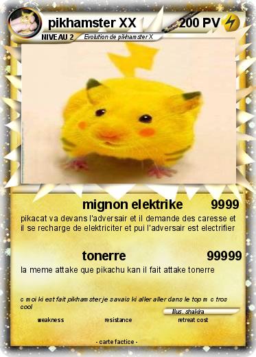 Pokemon pikhamster XX
