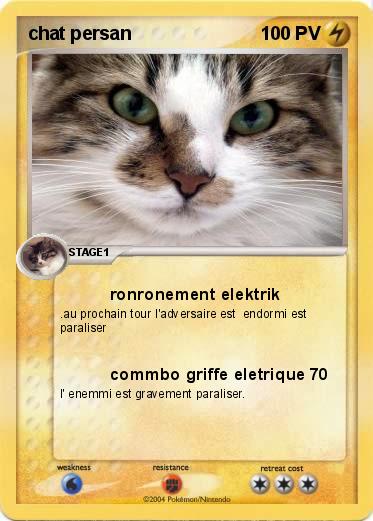 Pokemon chat persan