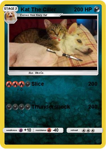 Pokemon Kat The Ciller