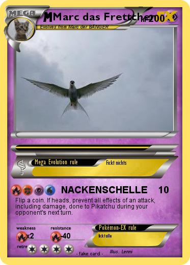 Pokemon Marc das Frettchen