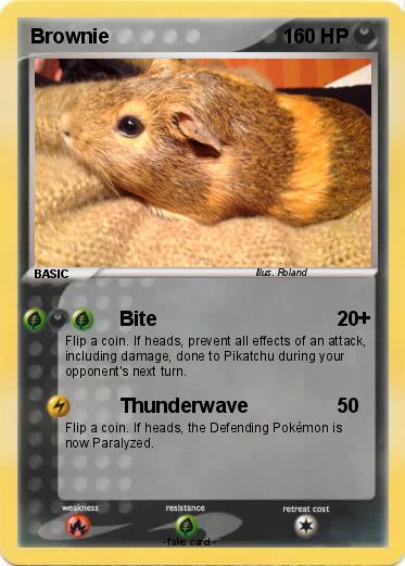 Pokemon Brownie