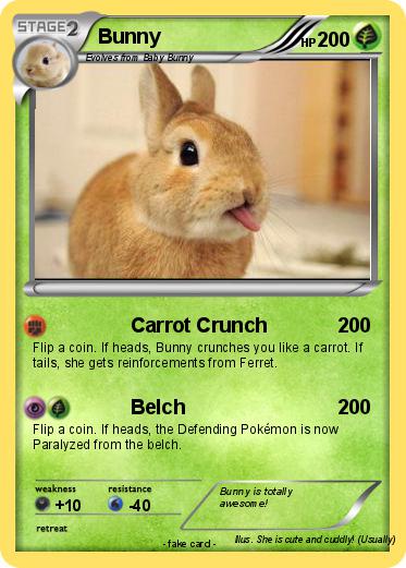 Pokemon Bunny