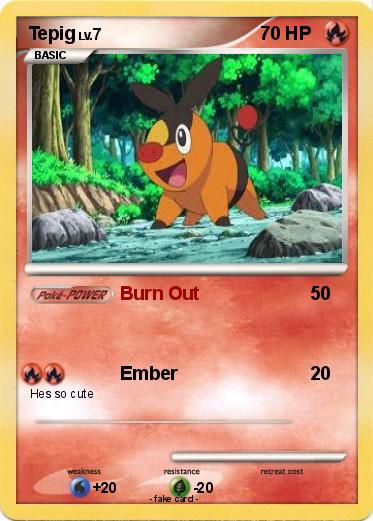 Pokemon Tepig