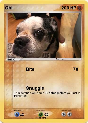 Pokemon Obi