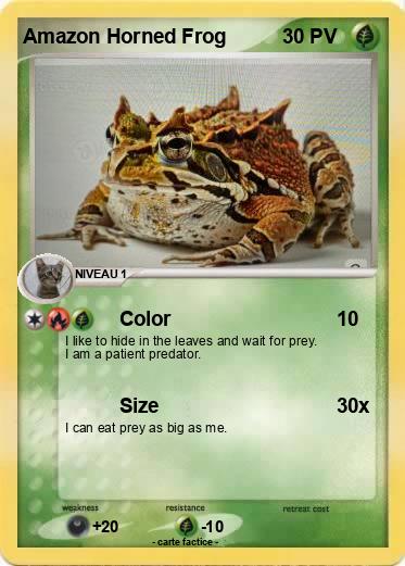 Pokemon Amazon Horned Frog