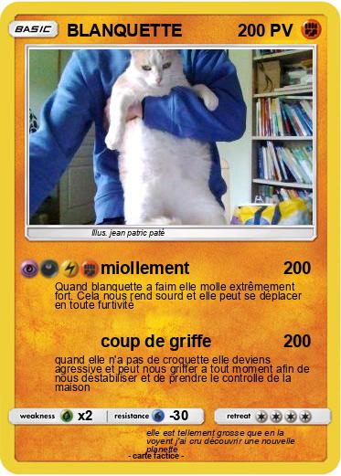 Pokemon BLANQUETTE