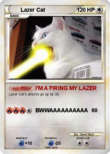 Pokemon Lazer Cat