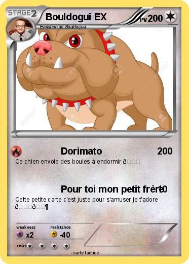 Pokemon Bouldogui EX
