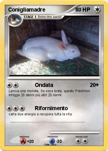 Pokemon Conigliamadre