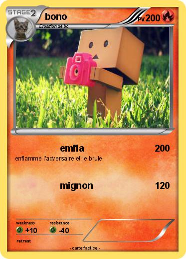 Pokemon bono