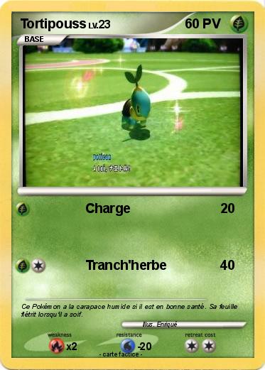 Pokemon Tortipouss
