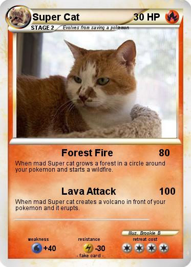 Pokemon Super Cat