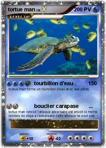 Pokemon tortue man