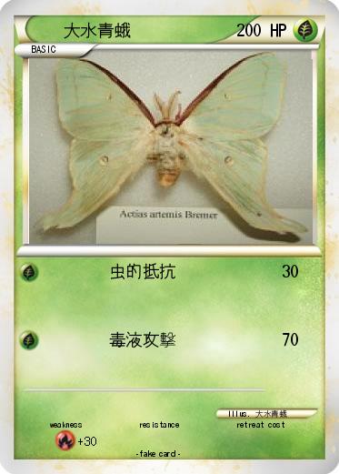 Pokemon 大水青蛾