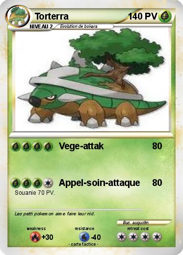 Pokemon Torterra