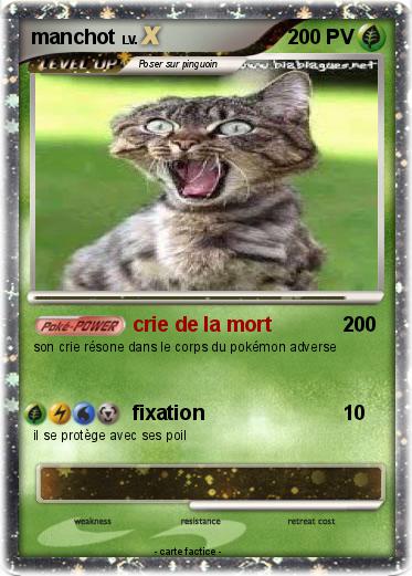 Pokemon manchot