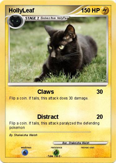 Pokemon HollyLeaf