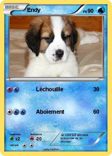 Pokemon Endy