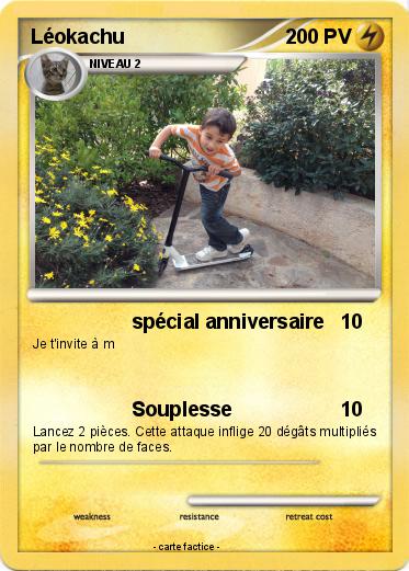 Pokemon Léokachu
