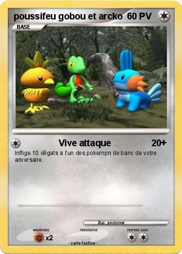 Pokemon poussifeu gobou et arcko