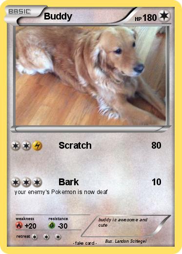 Pokemon Buddy