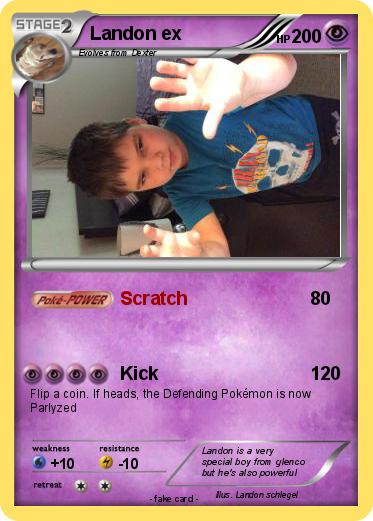 Pokemon Landon ex