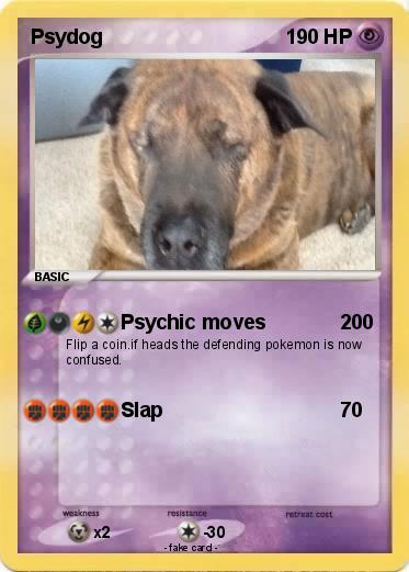 Pokemon Psydog
