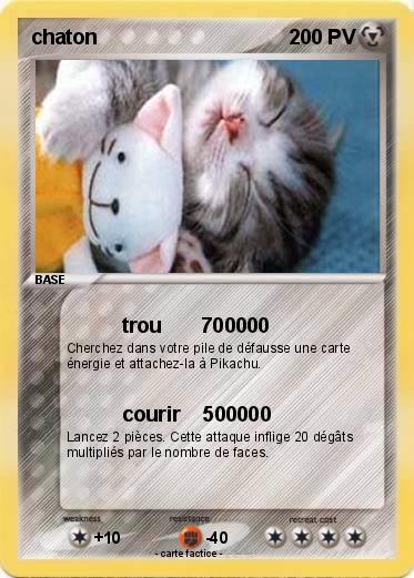 Pokemon chaton