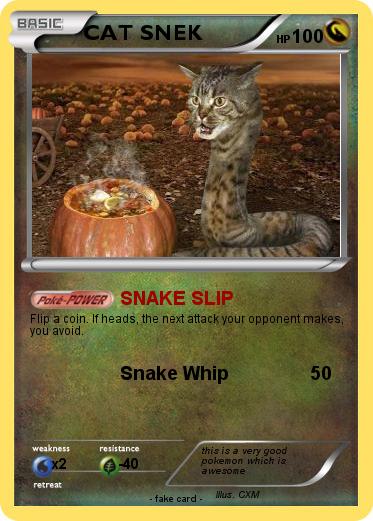 Pokemon CAT SNEK