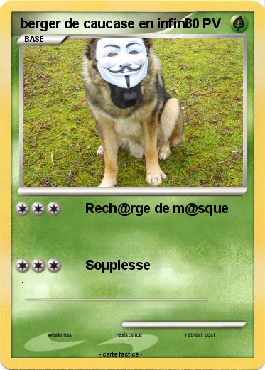 Pokemon berger de caucase en infini