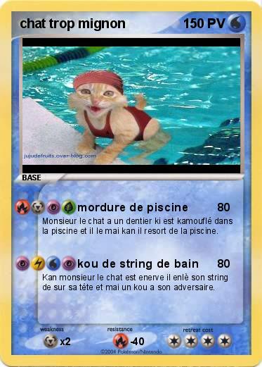 Pokemon chat trop mignon