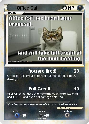 Pokemon Office Cat