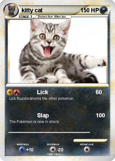 Pokemon kitty cat