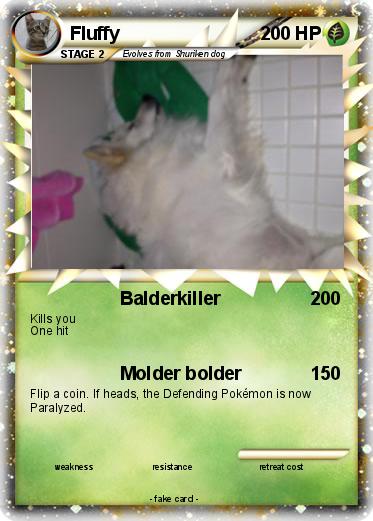 Pokemon Fluffy