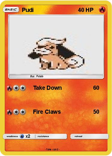 Pokemon Pudi