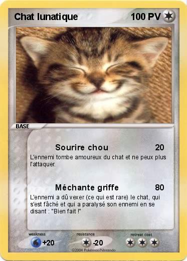 Pokemon Chat lunatique